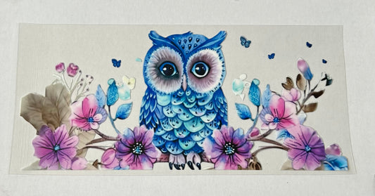 Blue Owl